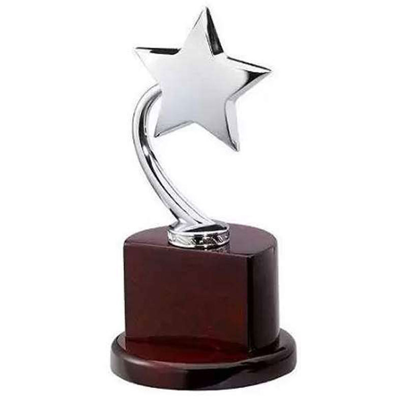 Metal Star Trophy on Wooden Base with Custom Metal Plate - Silver and Gold CG0352